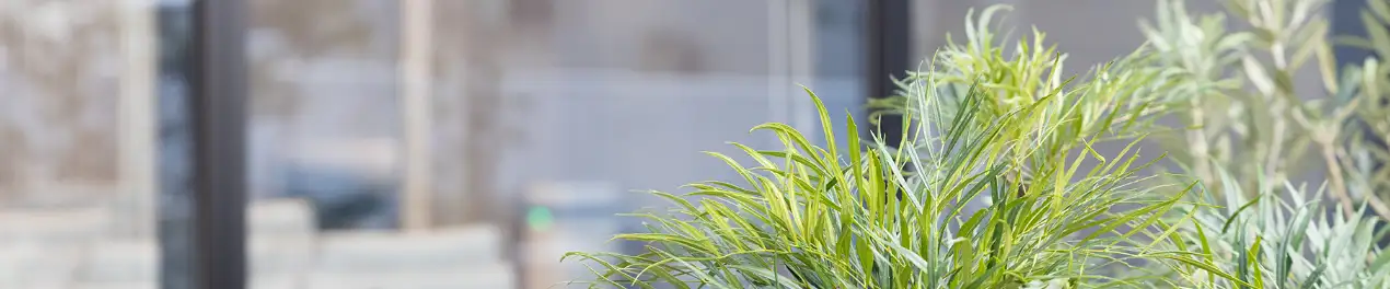 お問い合わせ 送信完了